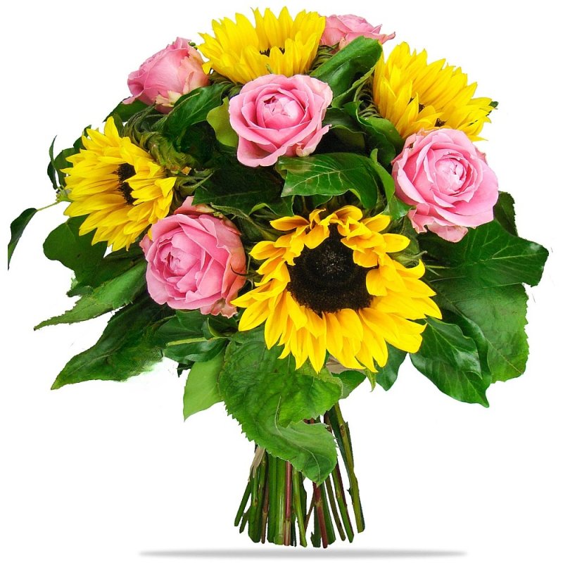 Sonnenblumen und rosa Rosen